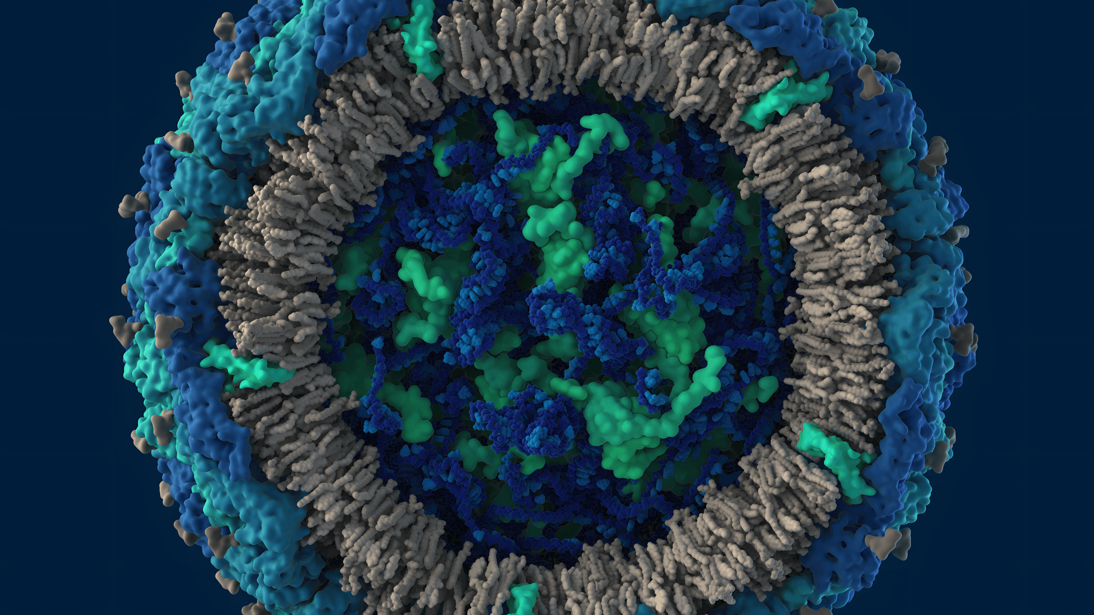 Zkia Virus with exposed core