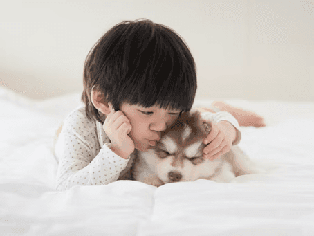 a young boy hugging a puppy on his bed