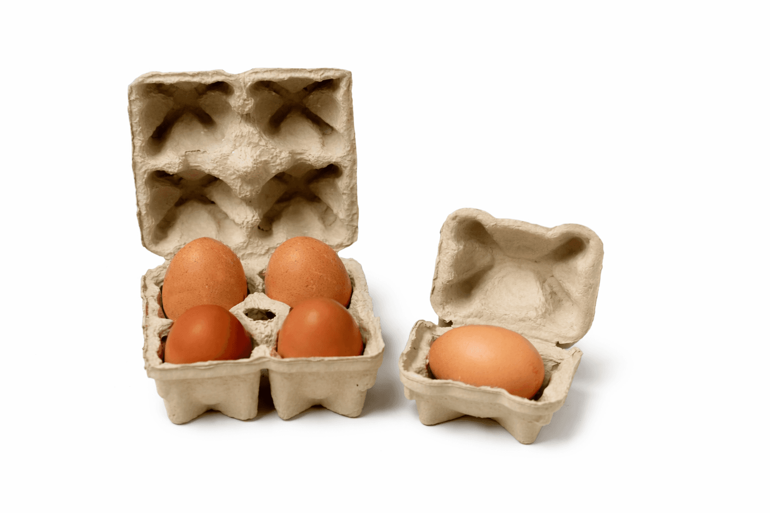 Molded fiber egg cartons made from recycled paper, showing mono-material, plastic-free packaging for sustainable and recyclable food packaging.