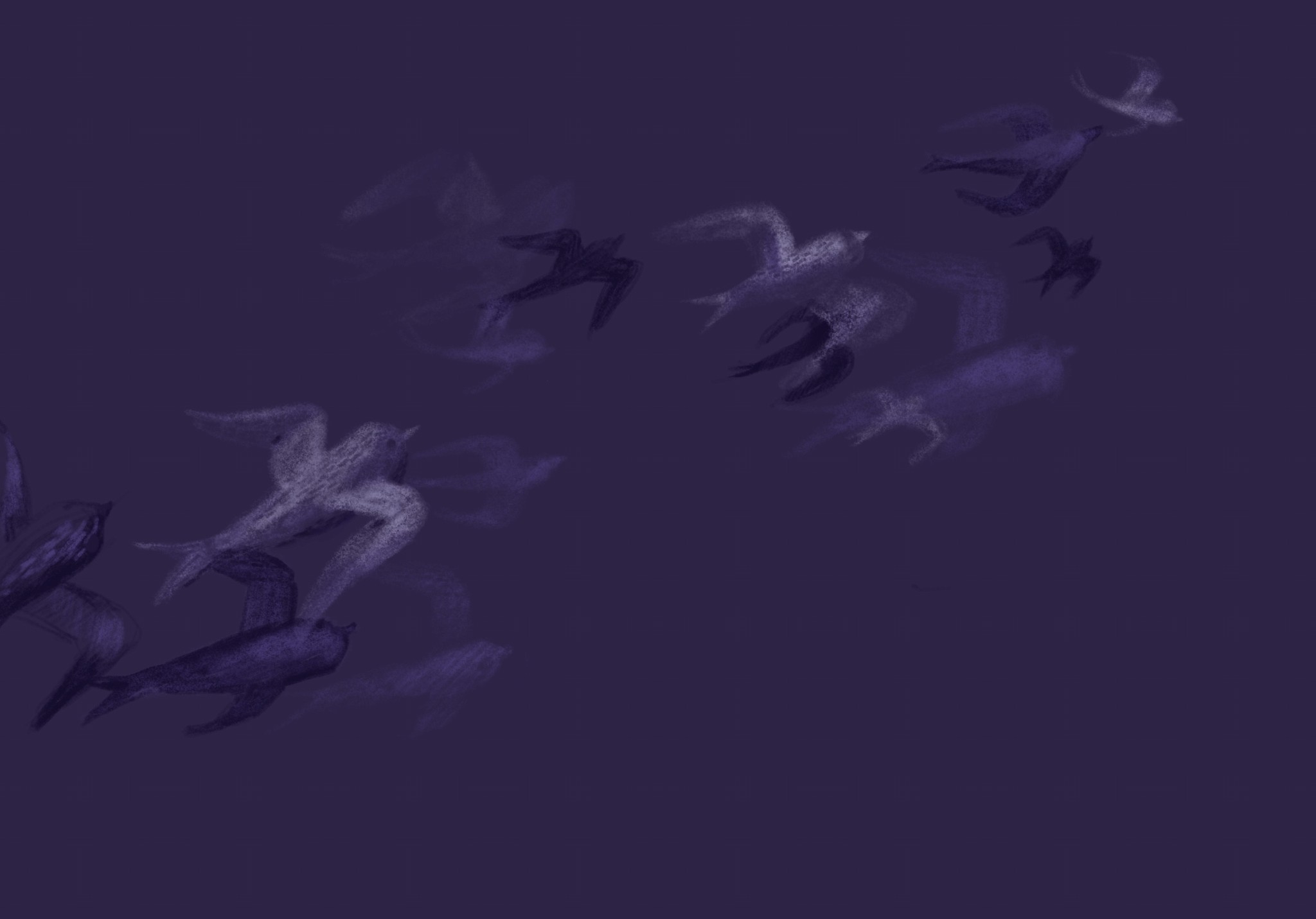 Background Image of birds flying on a purple background