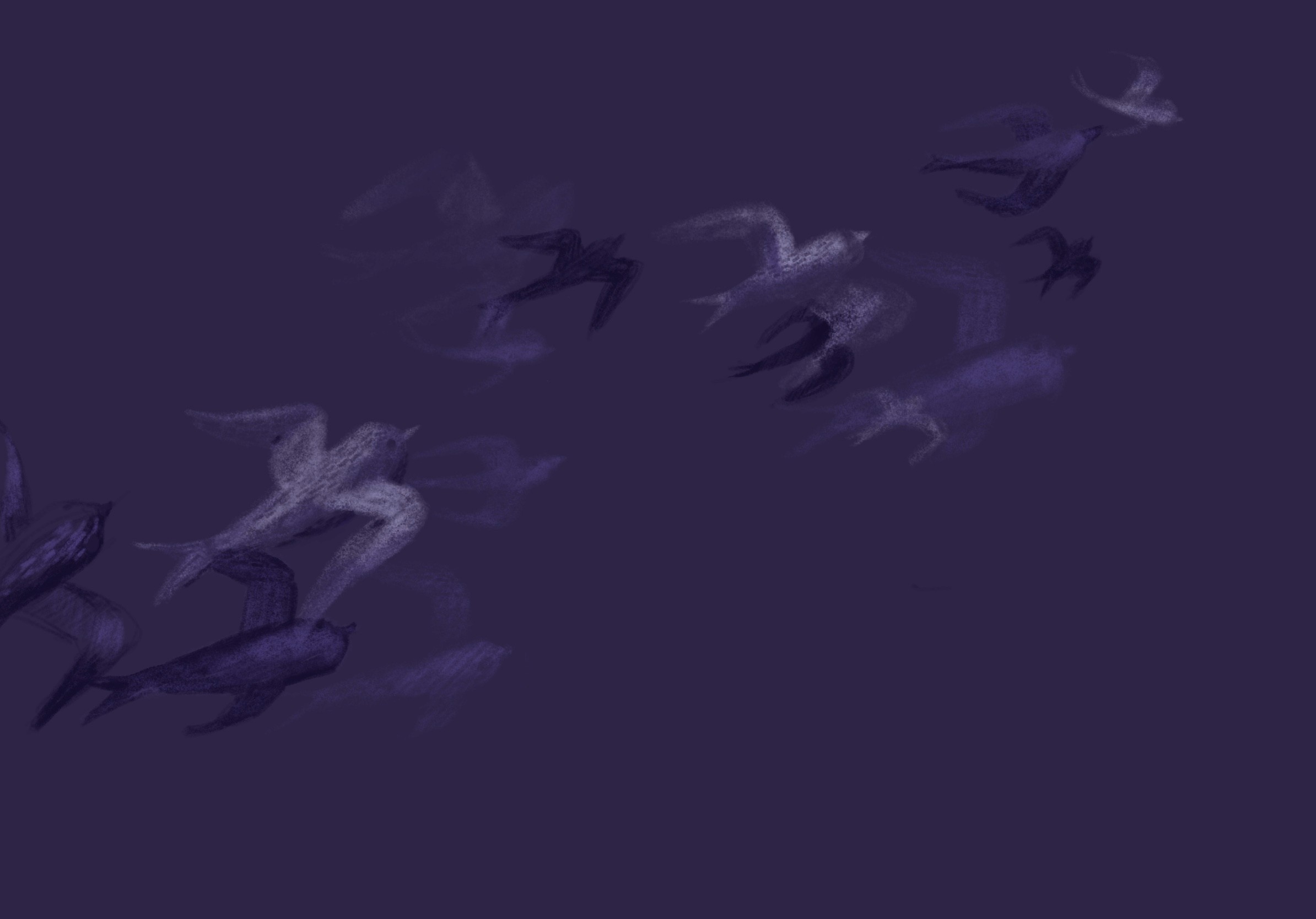 Background Image of birds flying on a purple background