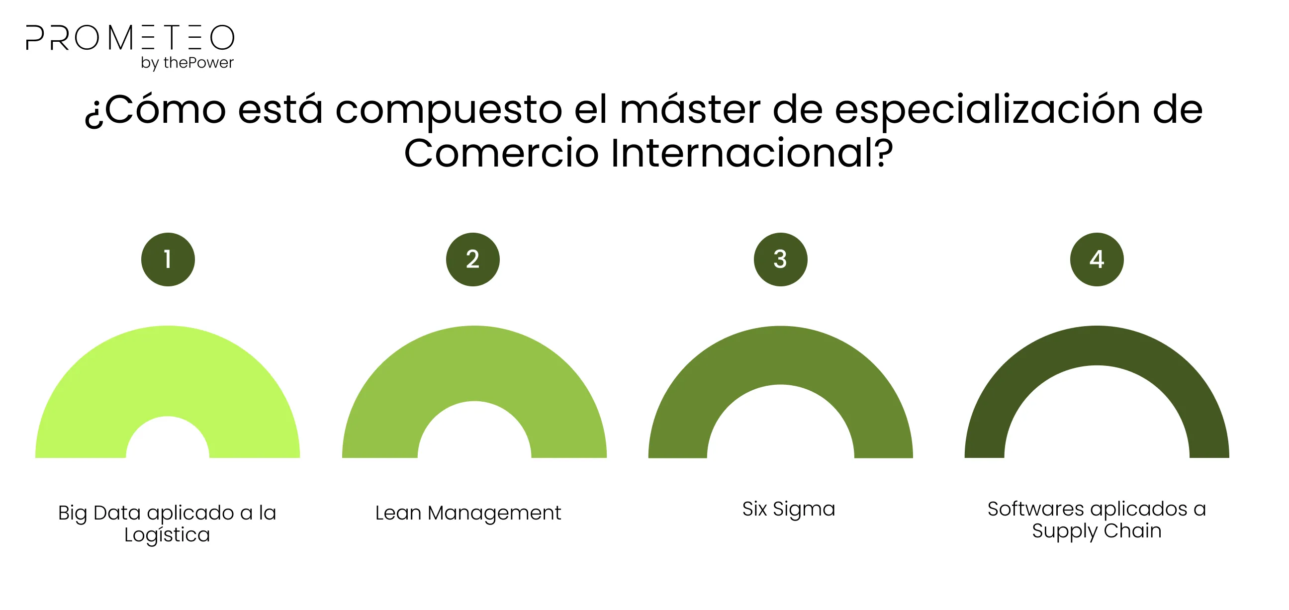 ¿Cómo está compuesto el máster de especialización de Comercio Internacional?