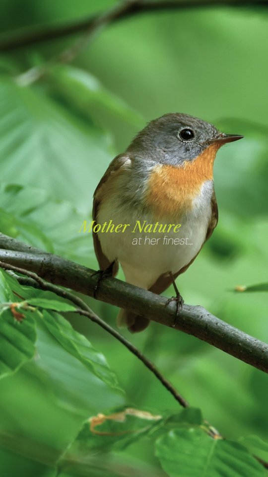 Batch.Works product catalogue book on a work top with a graphic printed image on the front