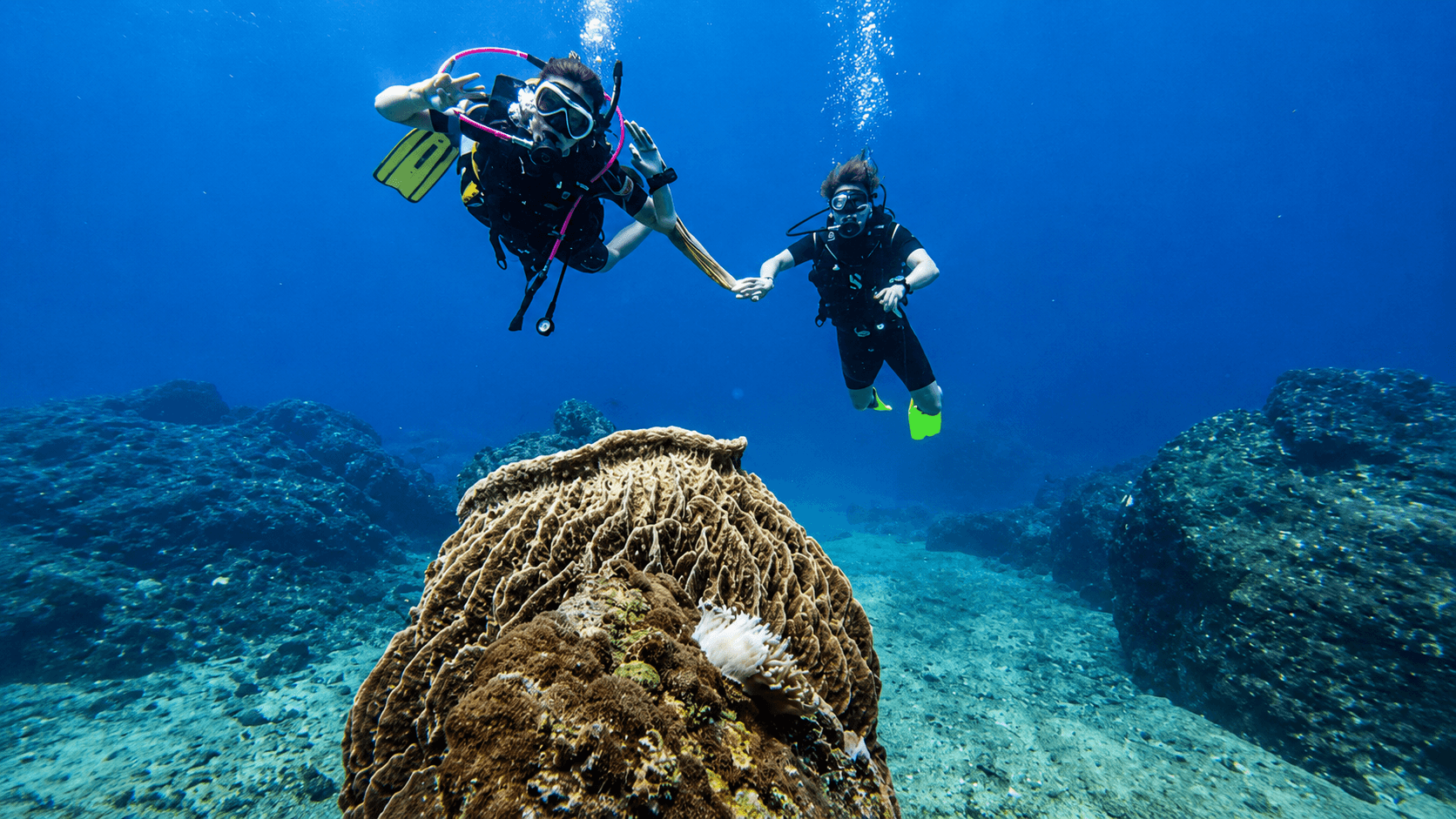 Navy island under water eco system with two divers