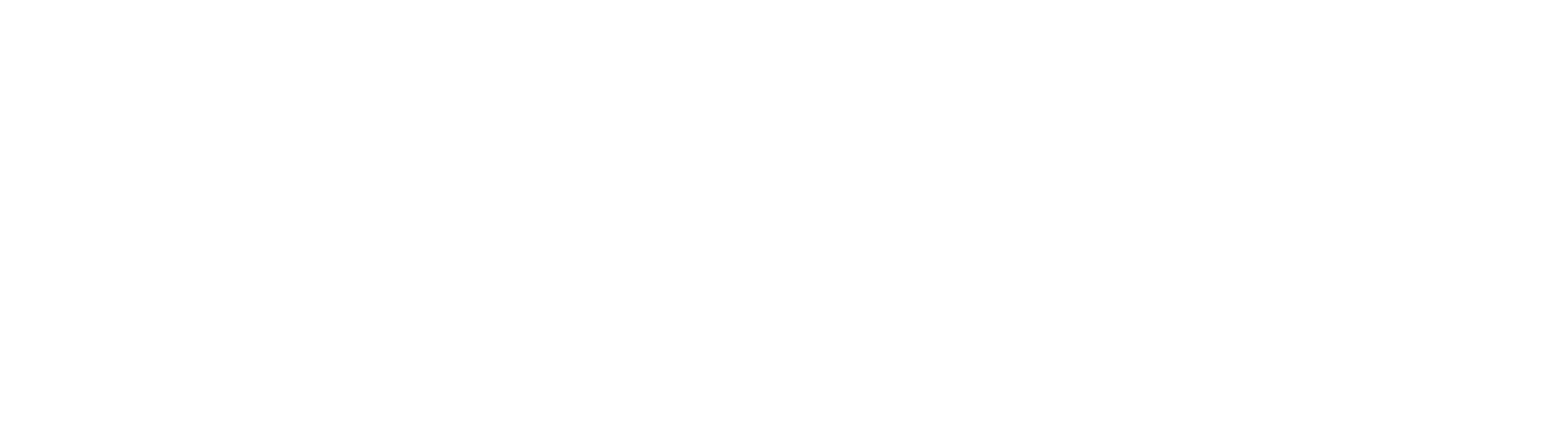 Pretzel White Logo