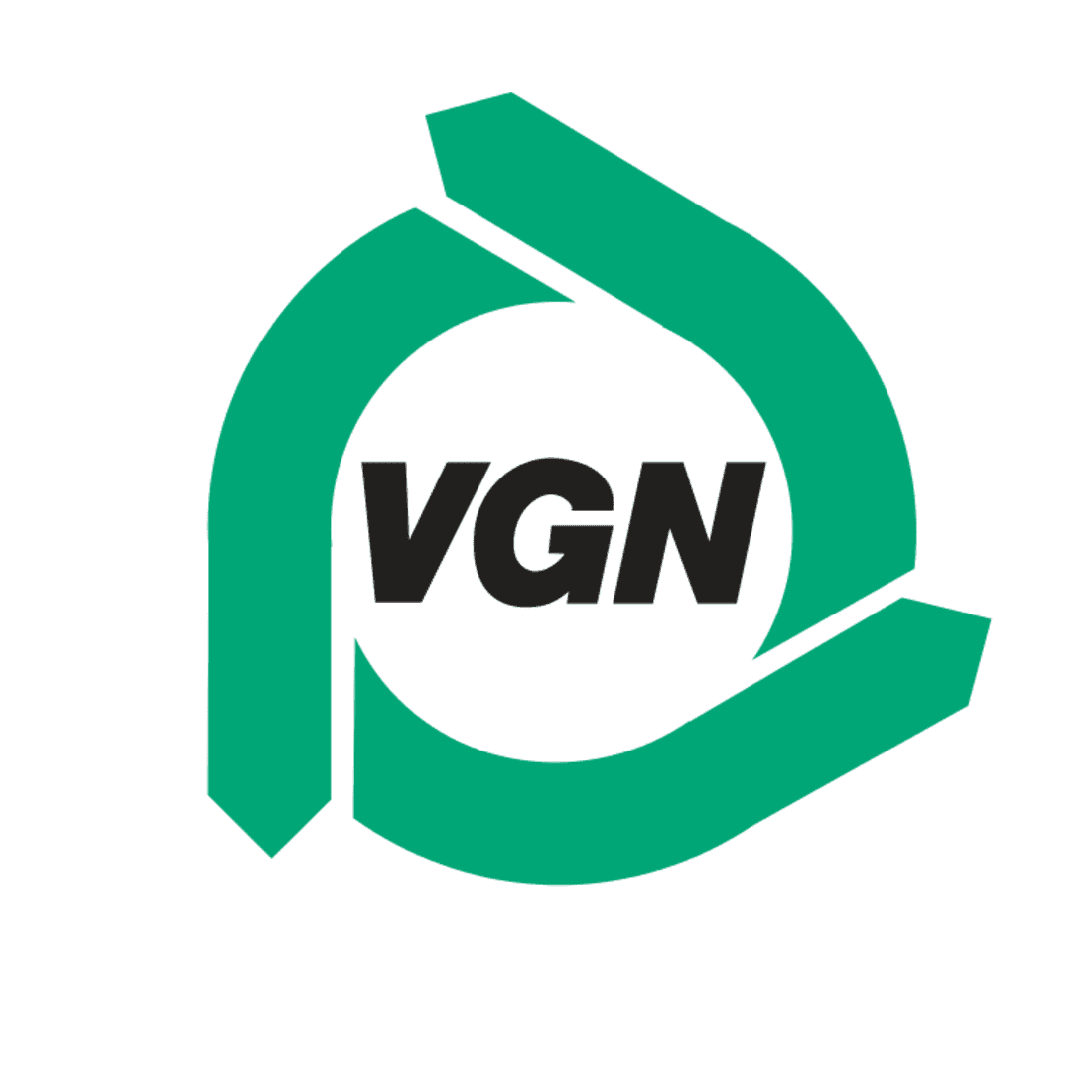 logo VGN