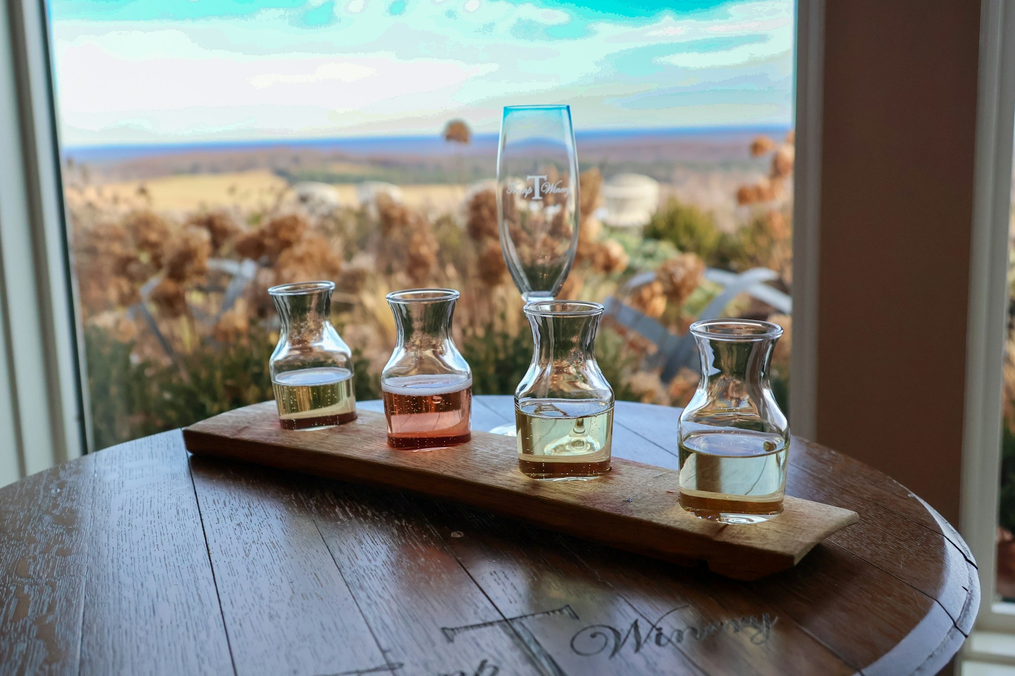 A tasting by the window, with the olive groves outside