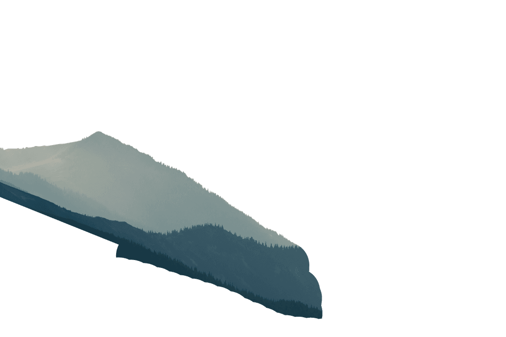 Allegro Investment Fund