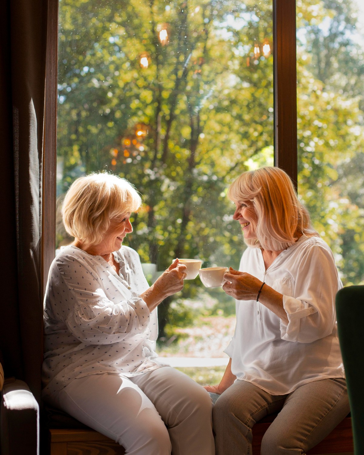 Companion and Elder Image