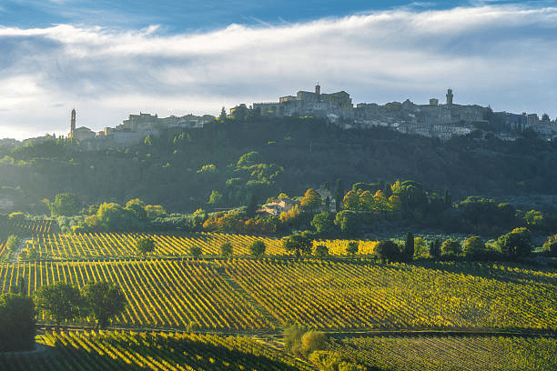 Montepulciano hilltop town surrounded by Tuscan vineyards