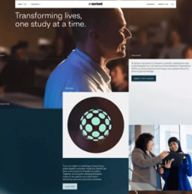 Modern web development services banner highlighting ZNVORA expertise