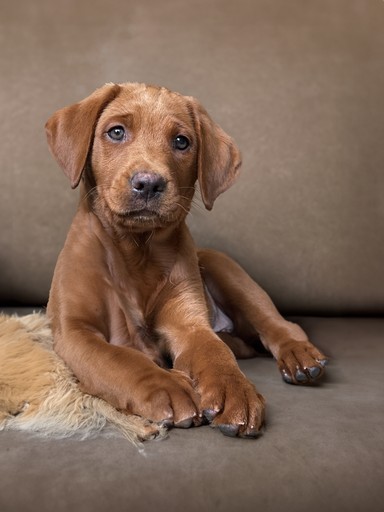Professional headshot of a person in a formal setting.