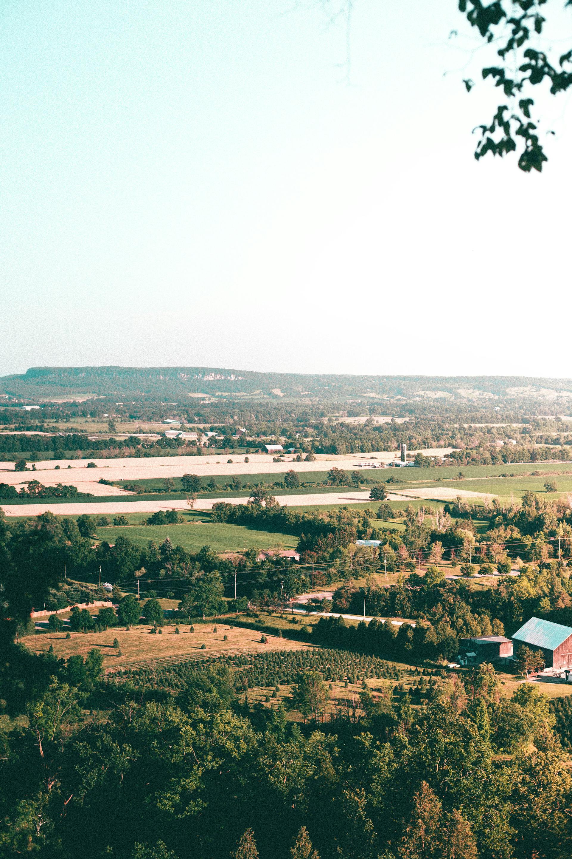 catergory-backgrounds