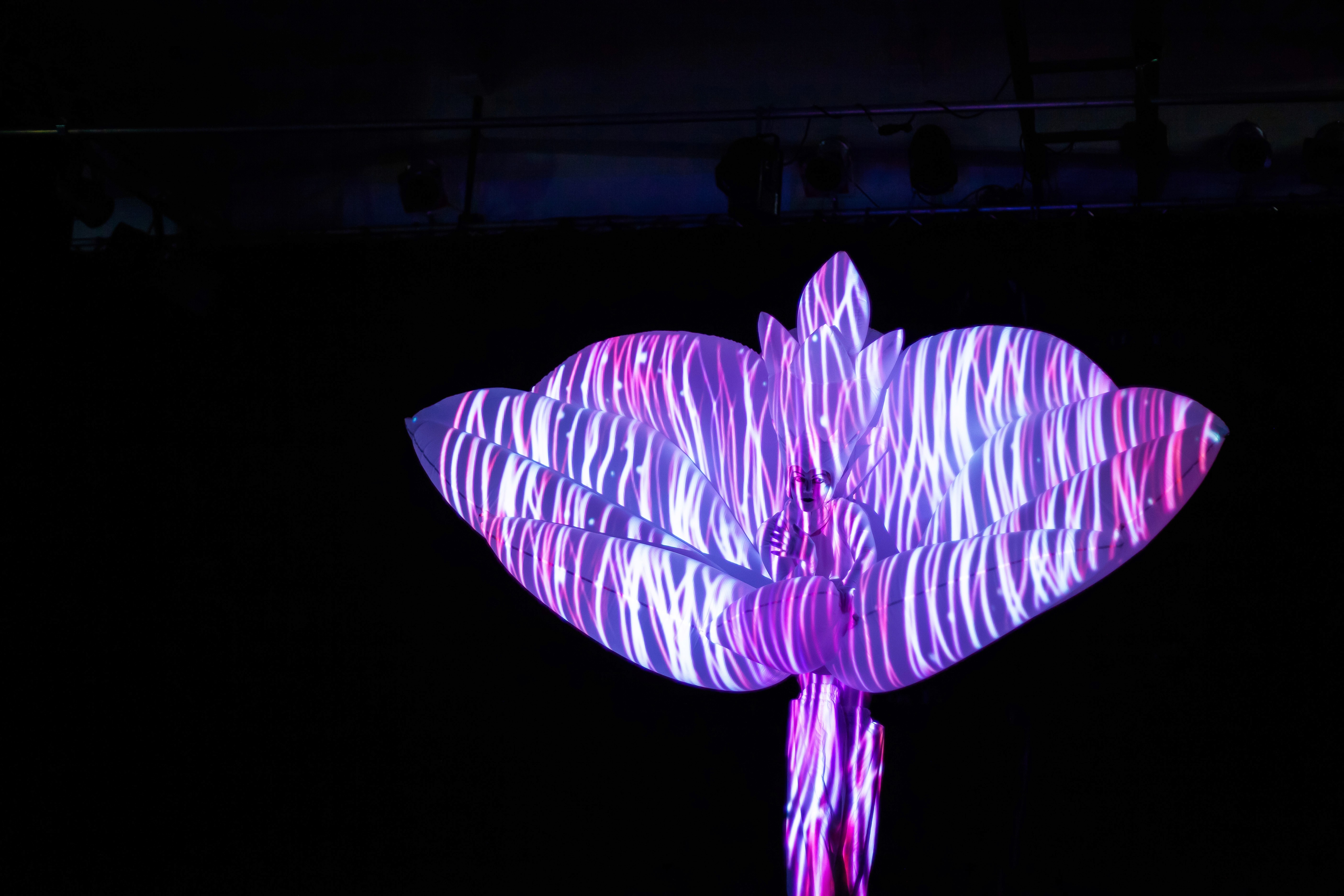 Imago Floris - augmented interactive performance installation