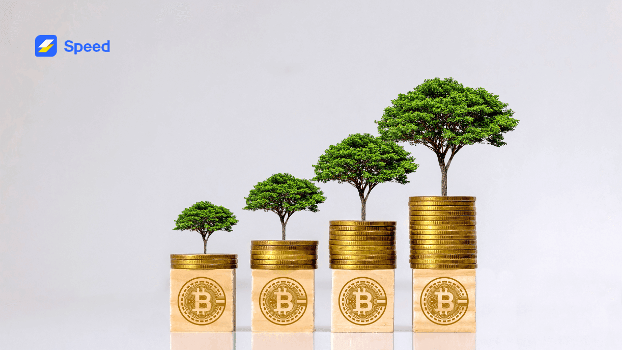 Grow your Business with Speed Bitcoin Payment Processor