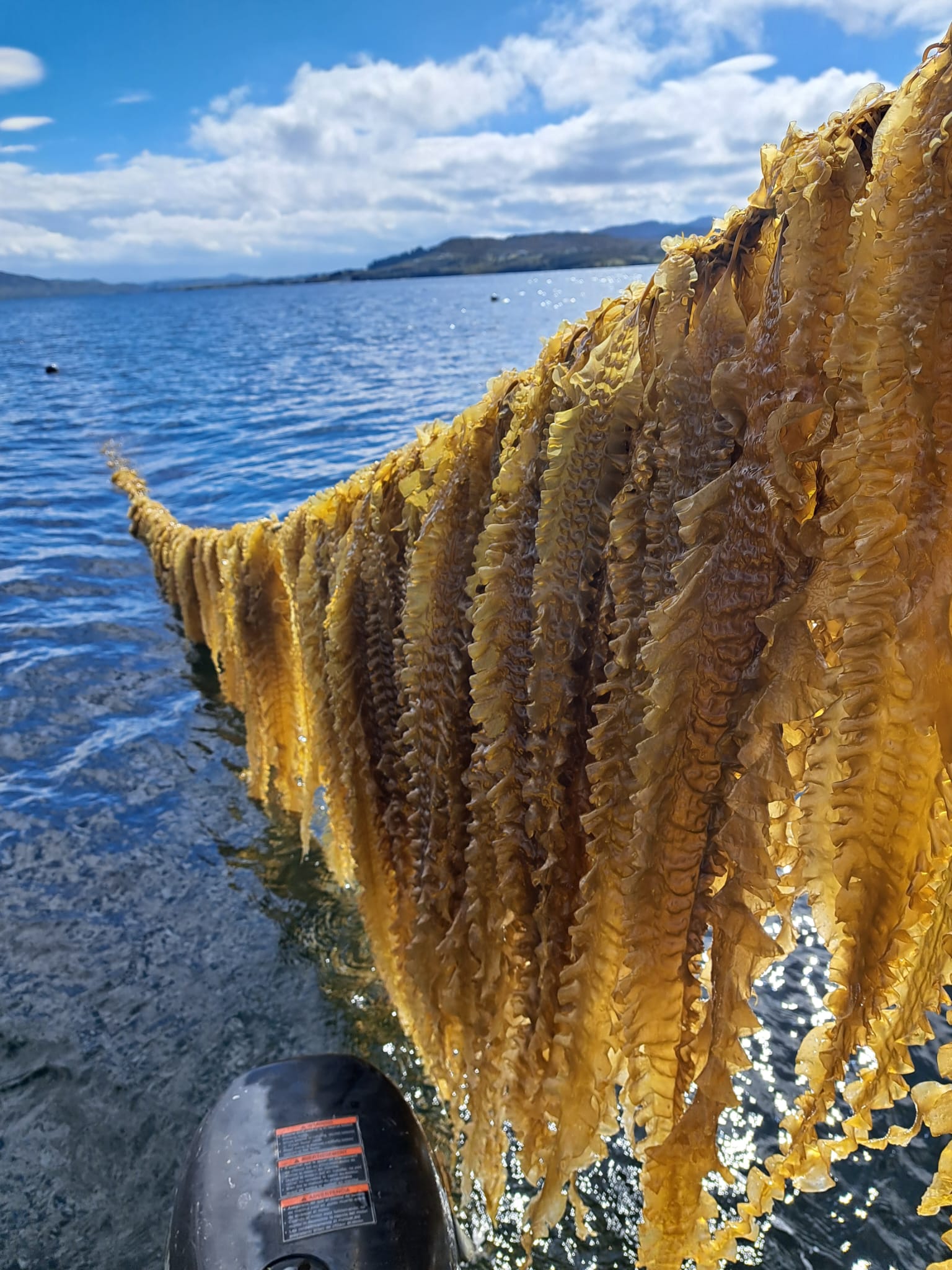 A man learning to surf