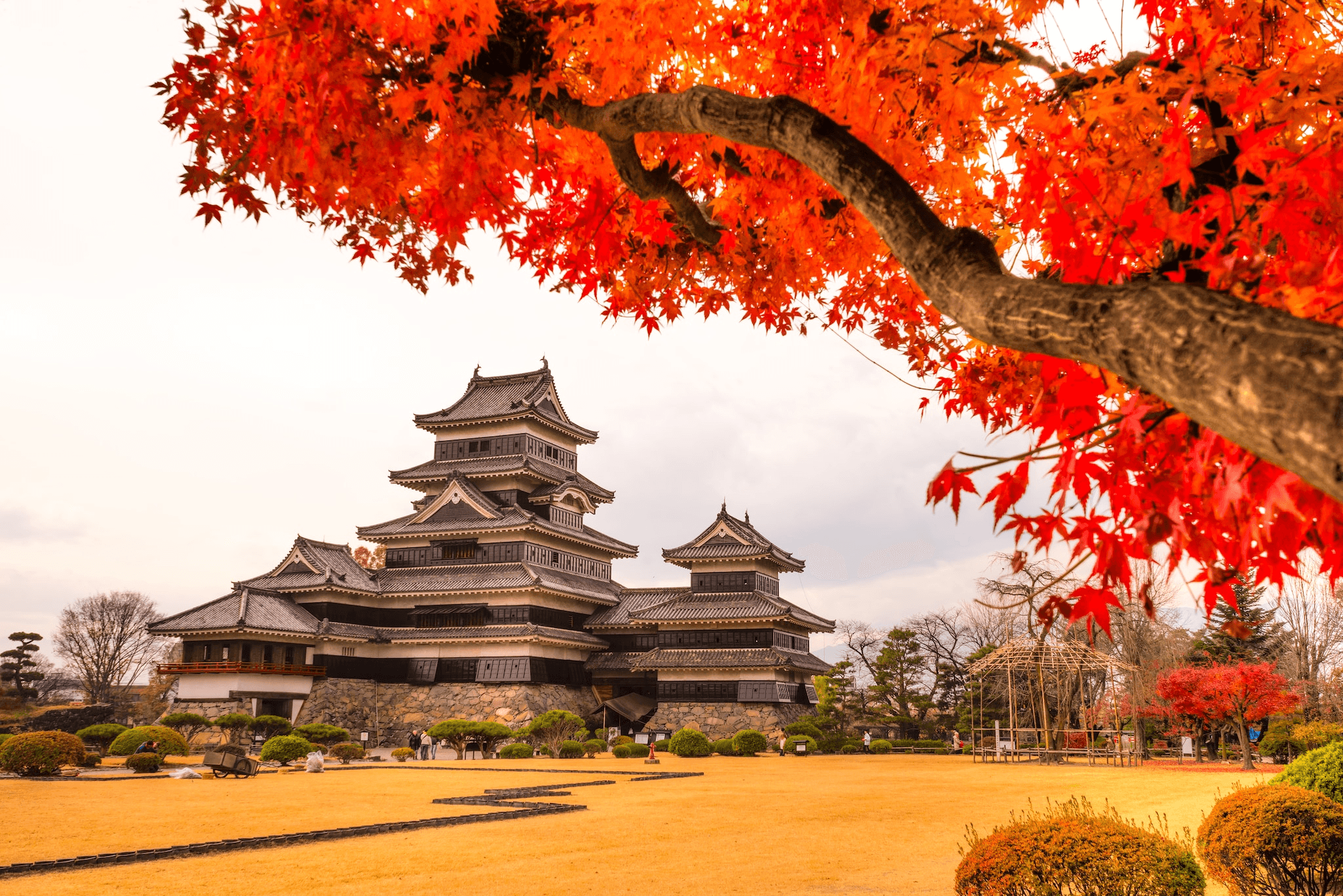 Matsumoto Castle in autumn