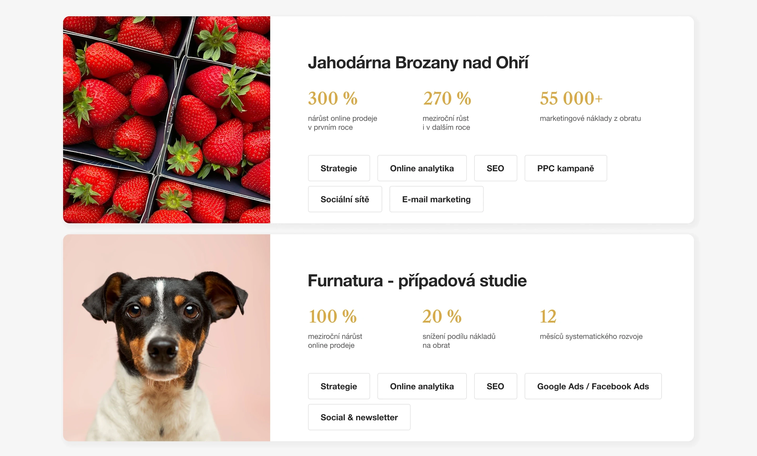 Image with the app presentation