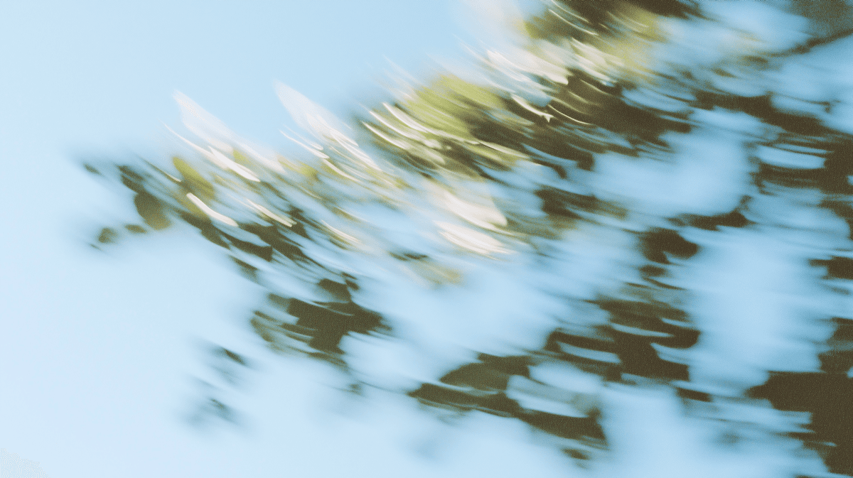 Motion-blurred branches with green leaves against a blue sky