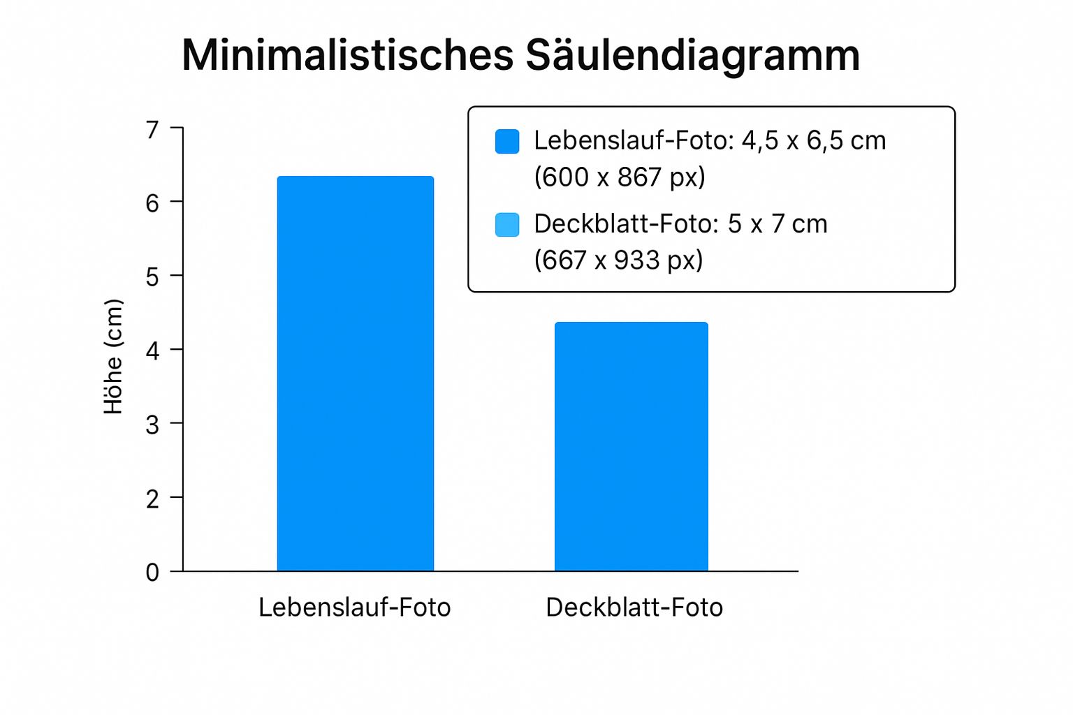 Infographic about bewerbungsfoto lebenslauf größe