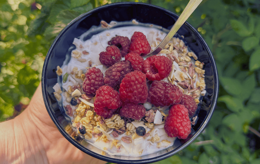 Alimentos ricos en fibra como avena, frutas, legumbres y semillas que favorecen la digestión.