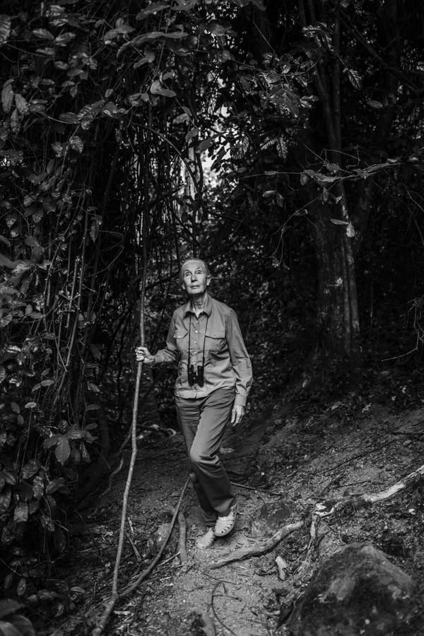 An older woman, her hair pulled back, walking through the jungle, her hand on a vine, looking into the tree canopy. She is wearing a long-sleeved shirt, trousers and woven sandals and has binoculars hanging from her neck.