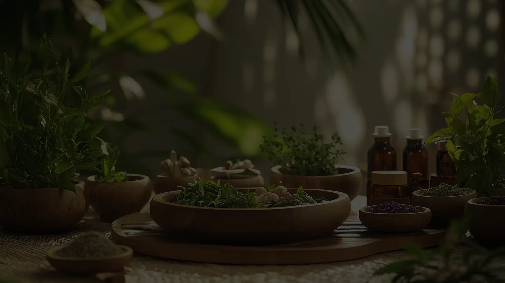 A sunlit table with wooden bowls of fresh herbs, seeds, and essential oils, creating a serene and natural ambiance. Light and shadow play across the scene.