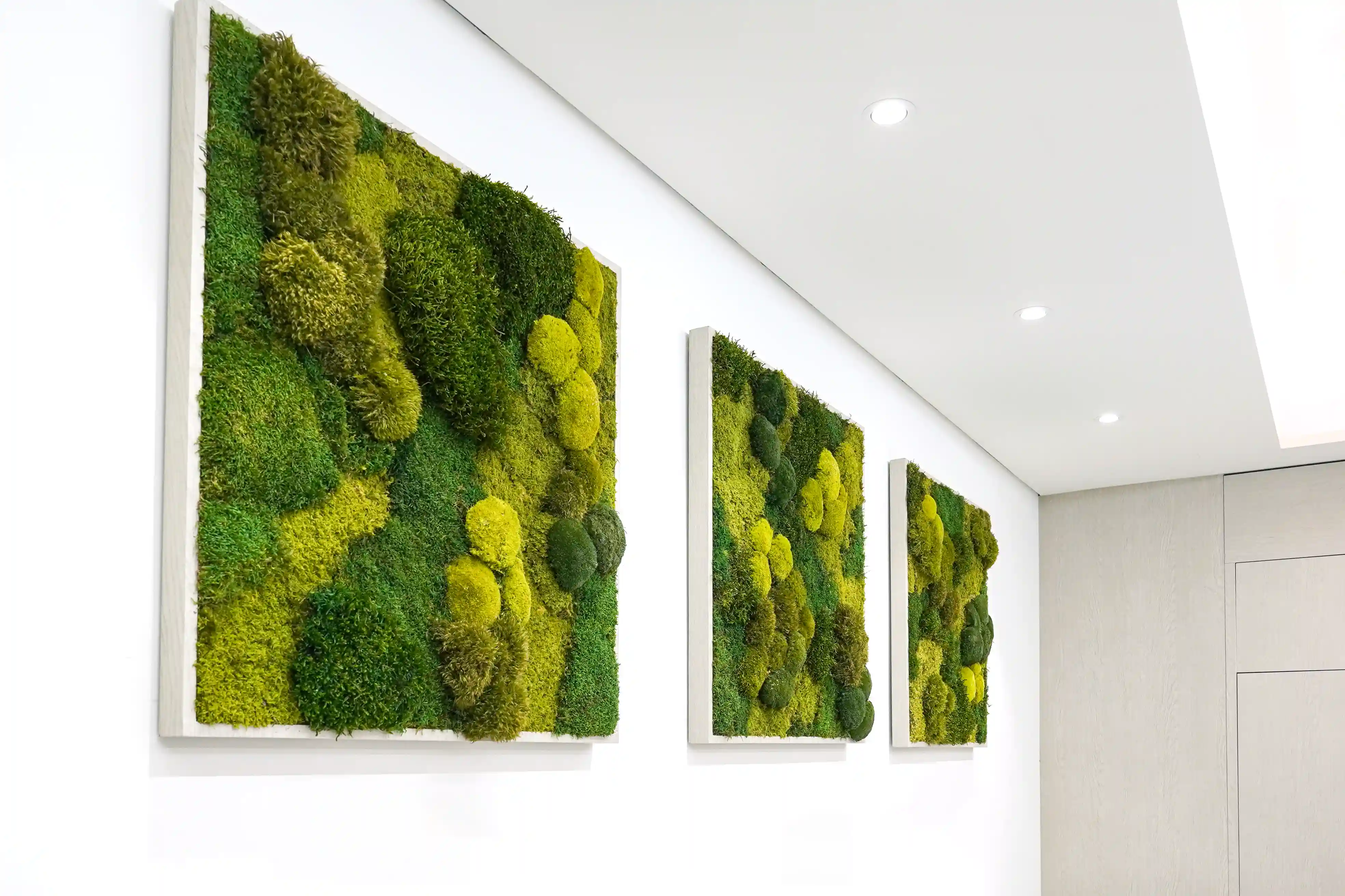 모스아트를 활용한 플랜테리어디자인이다.
