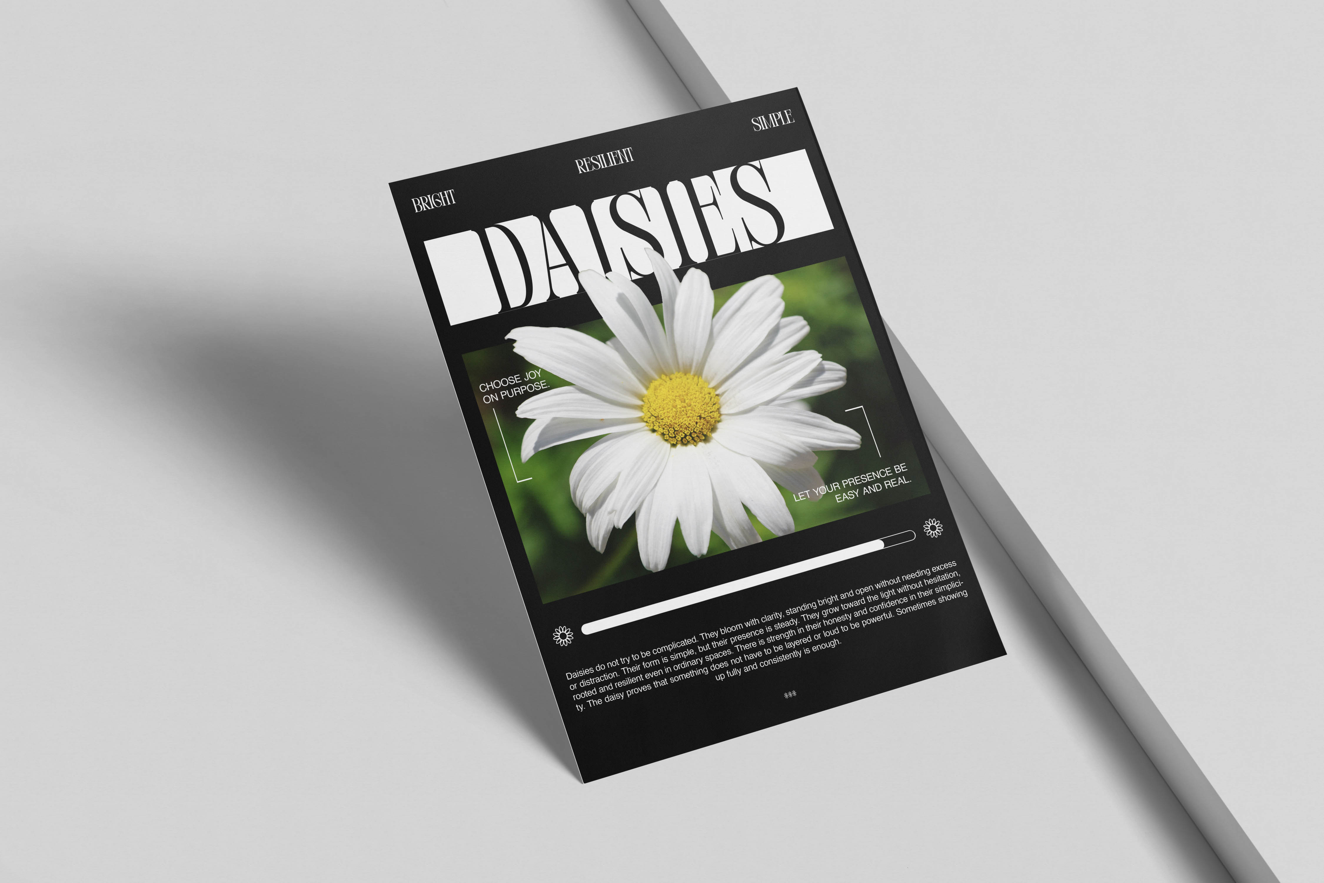 Large Project Gallery Image #1