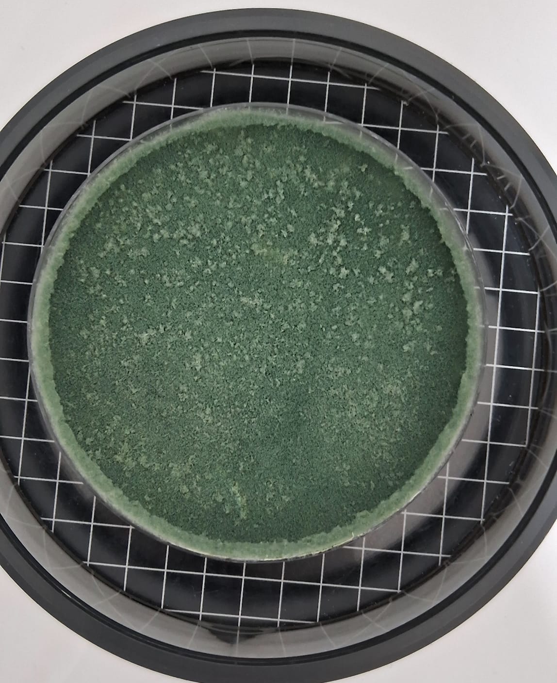 Personal Coaching Image