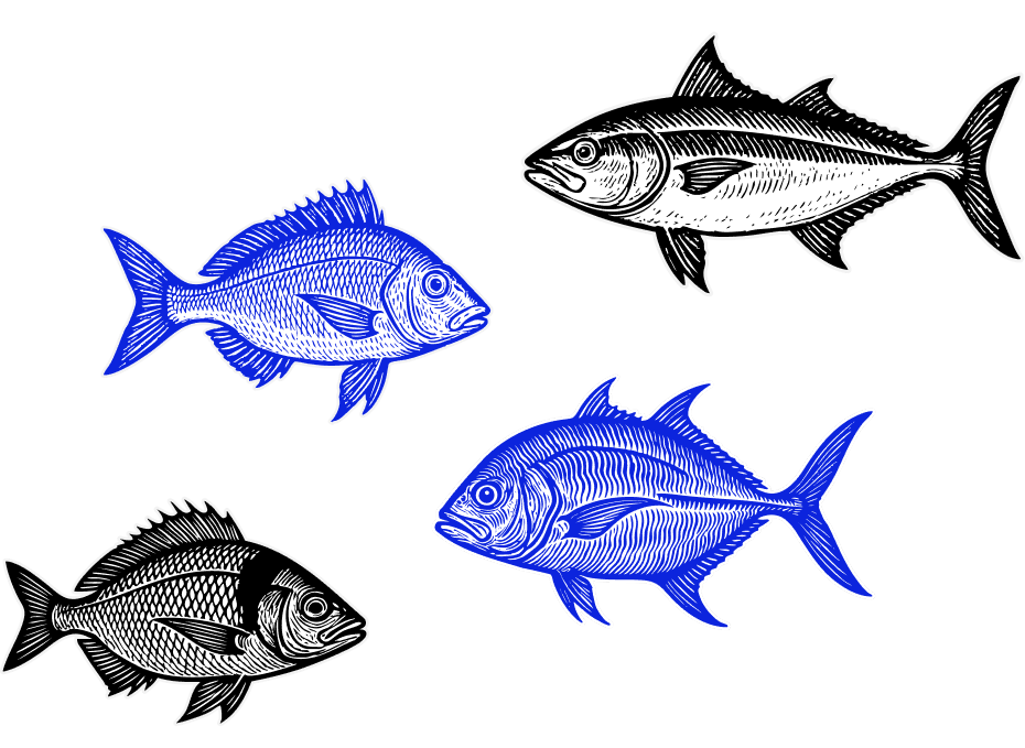 torus abstract object