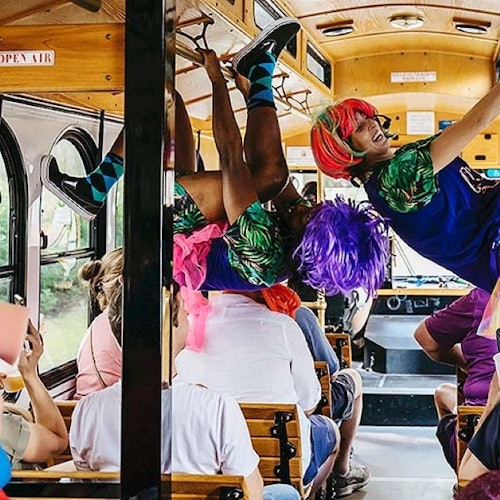 傻瓜萨凡纳指南