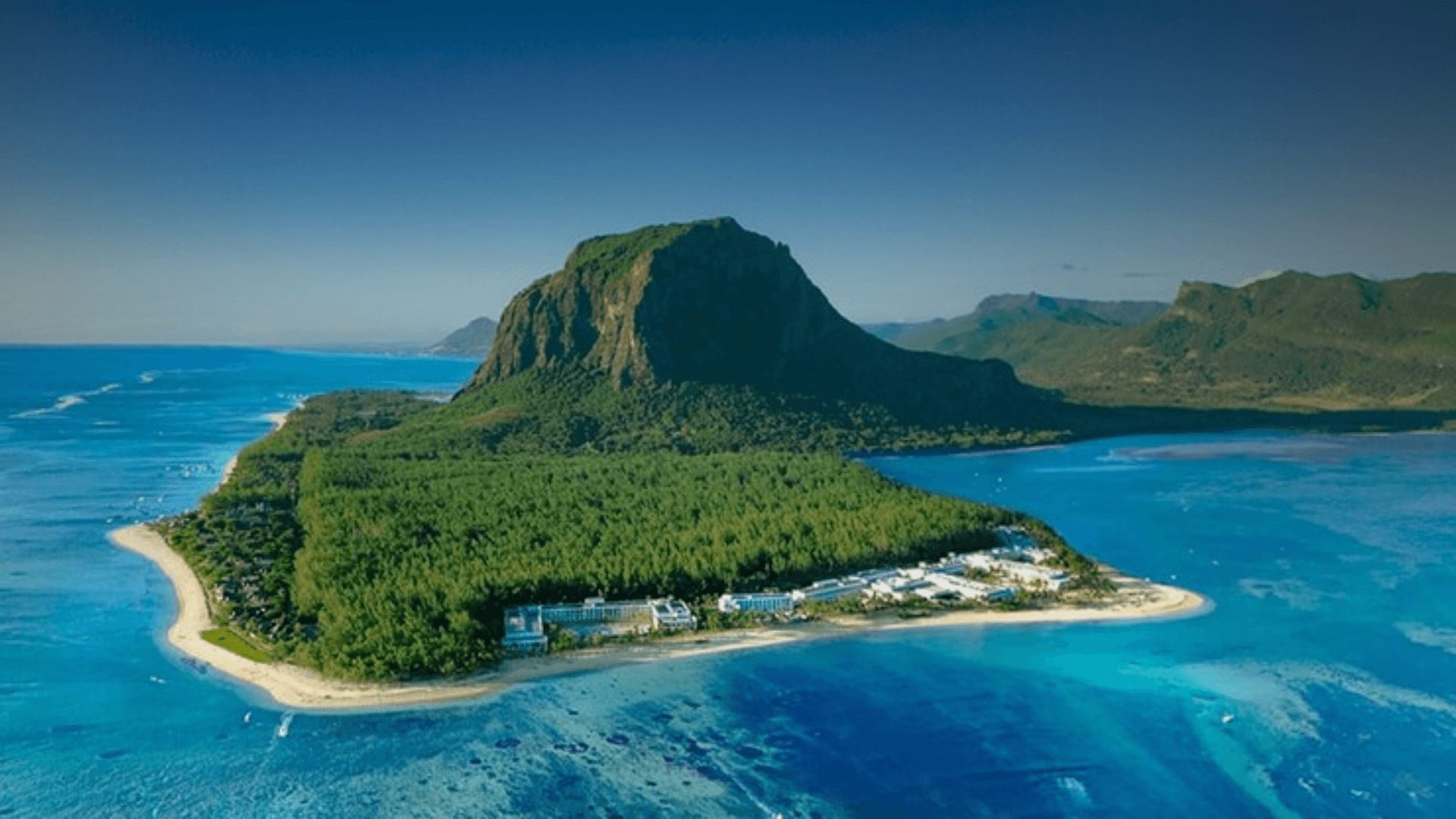 A large christmas tree in front of a tall building
