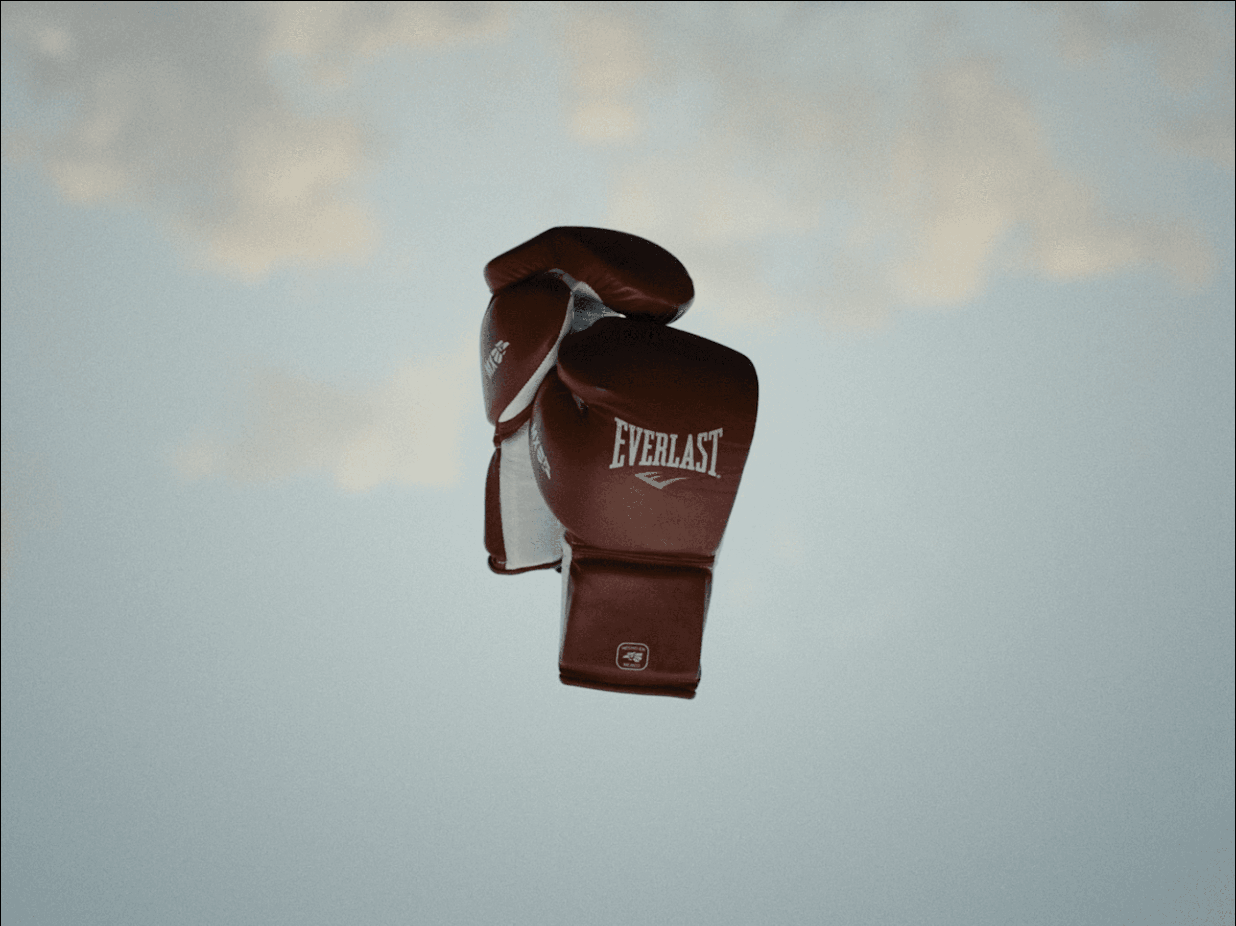 Here comes the alt text