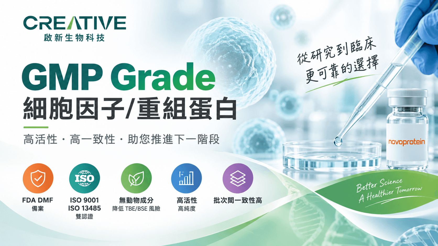 GMP Grade 細胞因子與重組蛋白