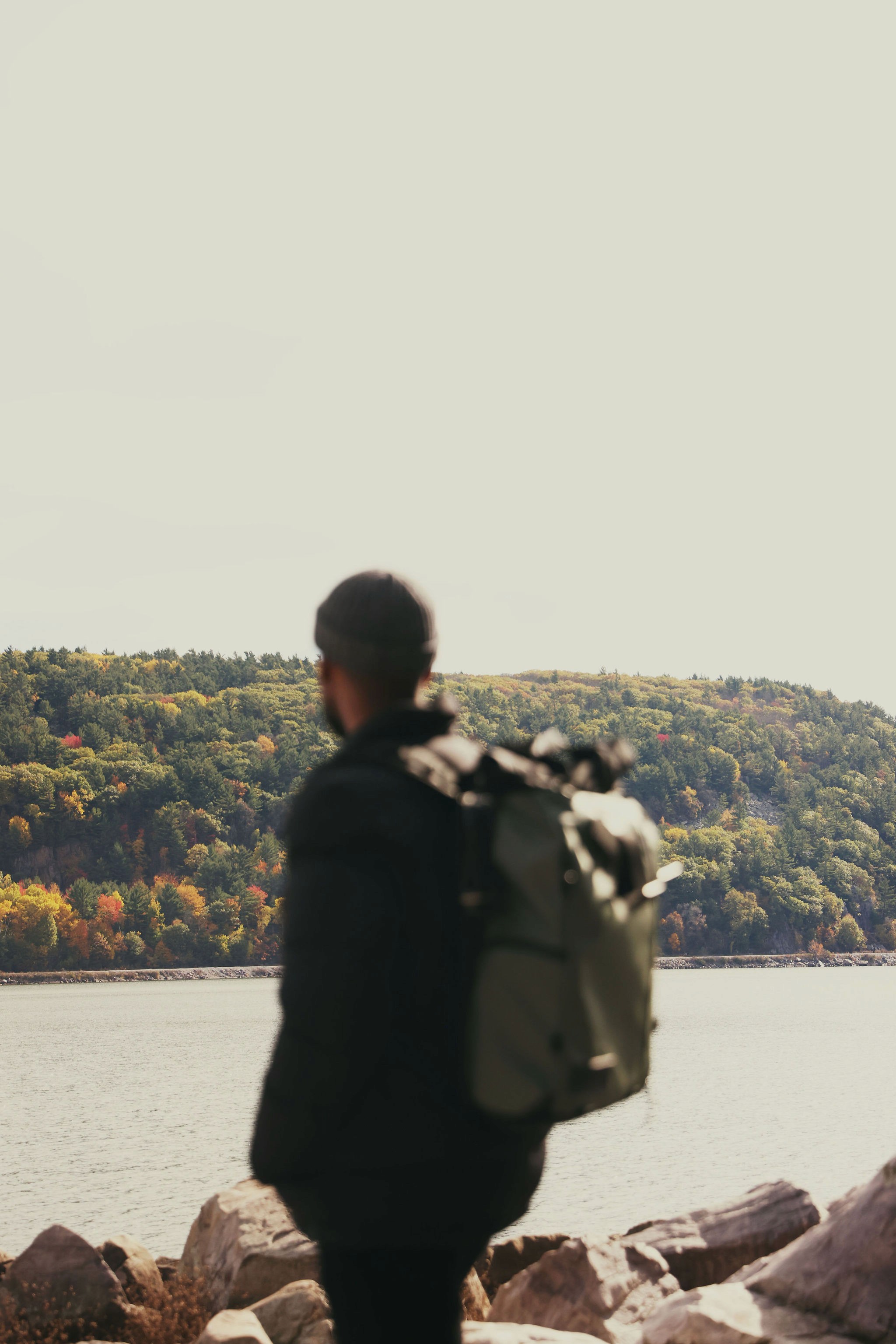 Close-up of delicate pale yellow rose petals