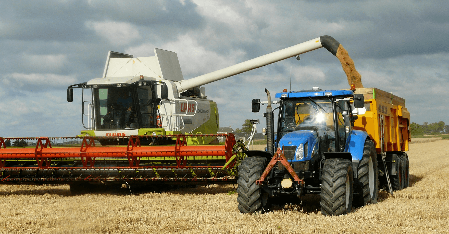 Cutting Rice in loading in the Track