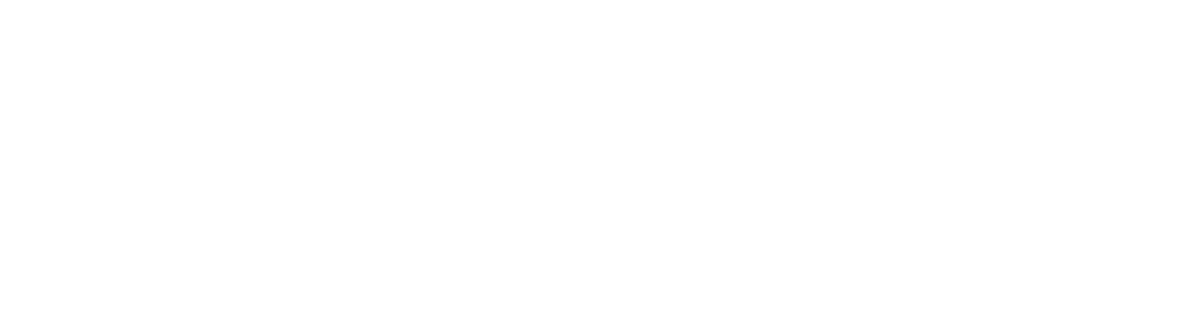 ClearVoyage logo in white