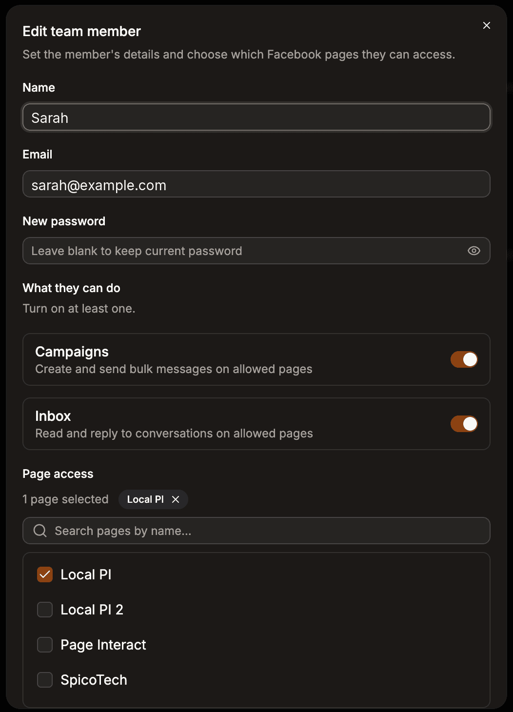 Edit team member dialog with name, email, module switches, and page access
