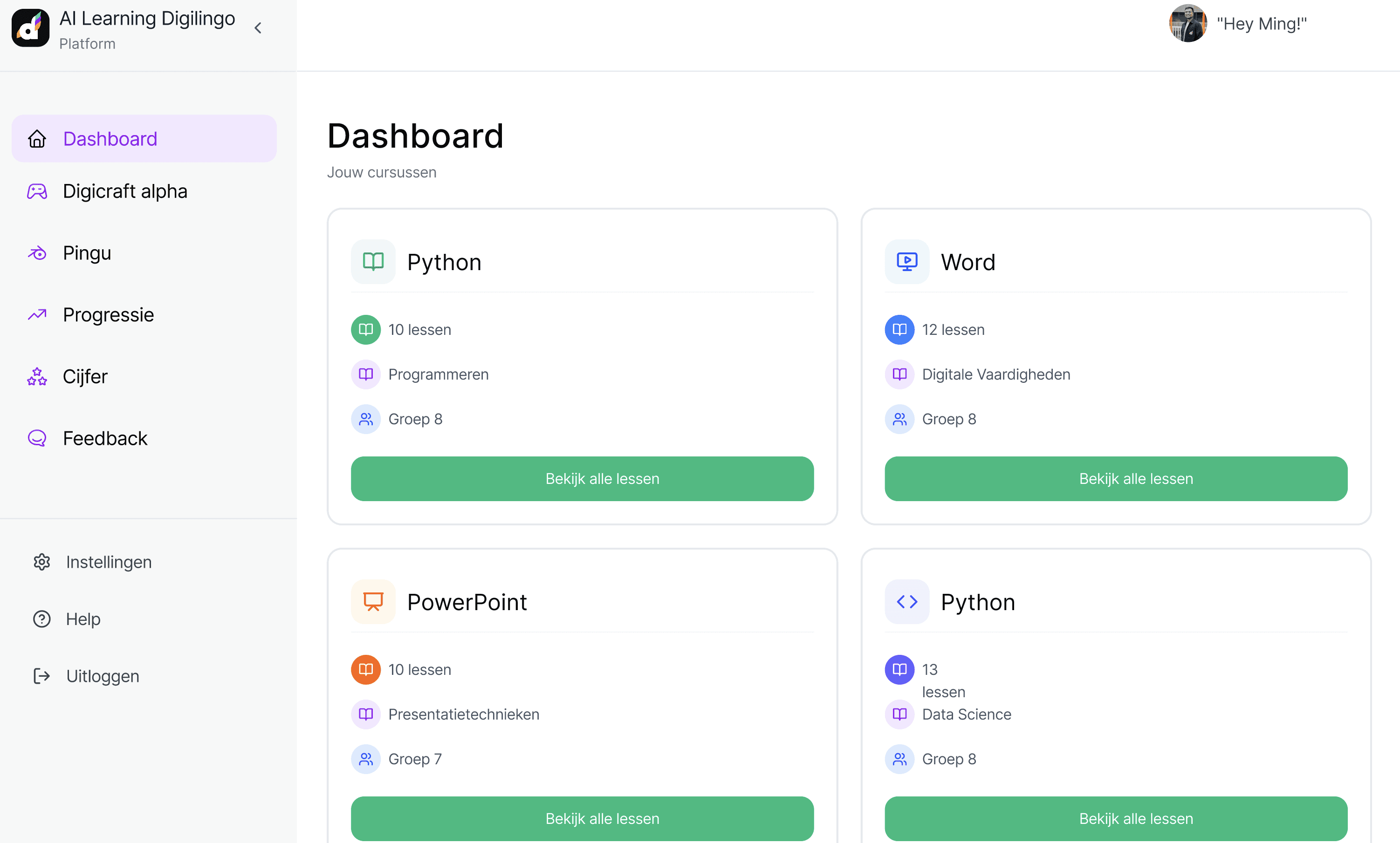 Software user interface