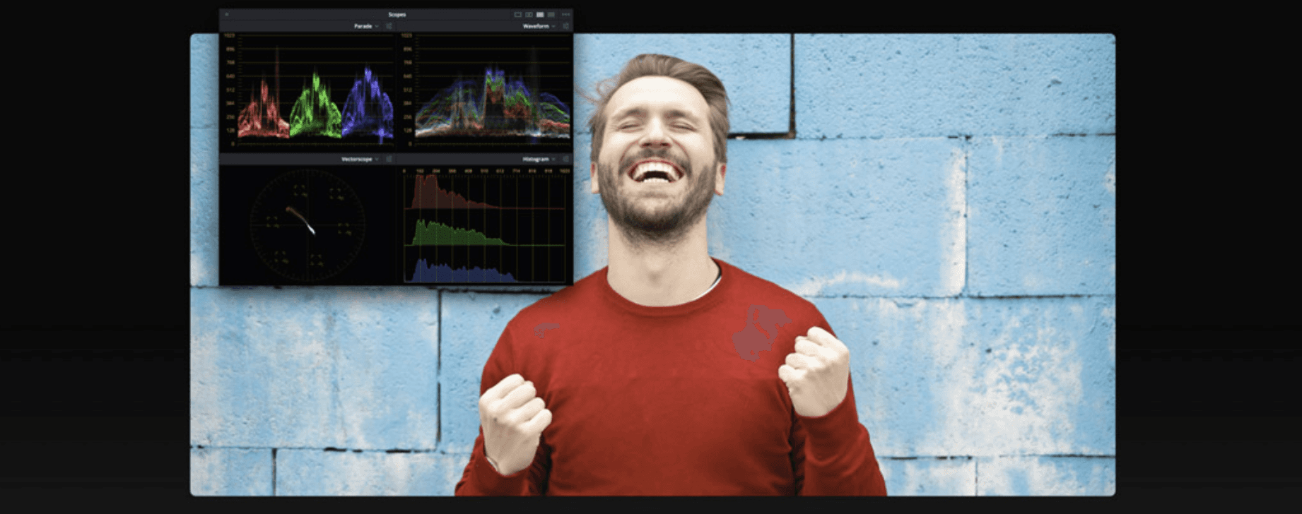 DaVinci Resolve video scopes used to evaluate image exposure, color balance, and saturation.
