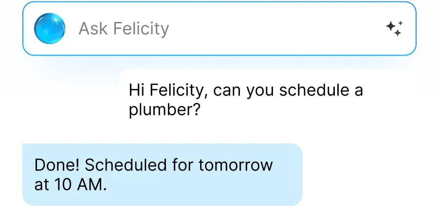Felicity conversation image - LightWork AI