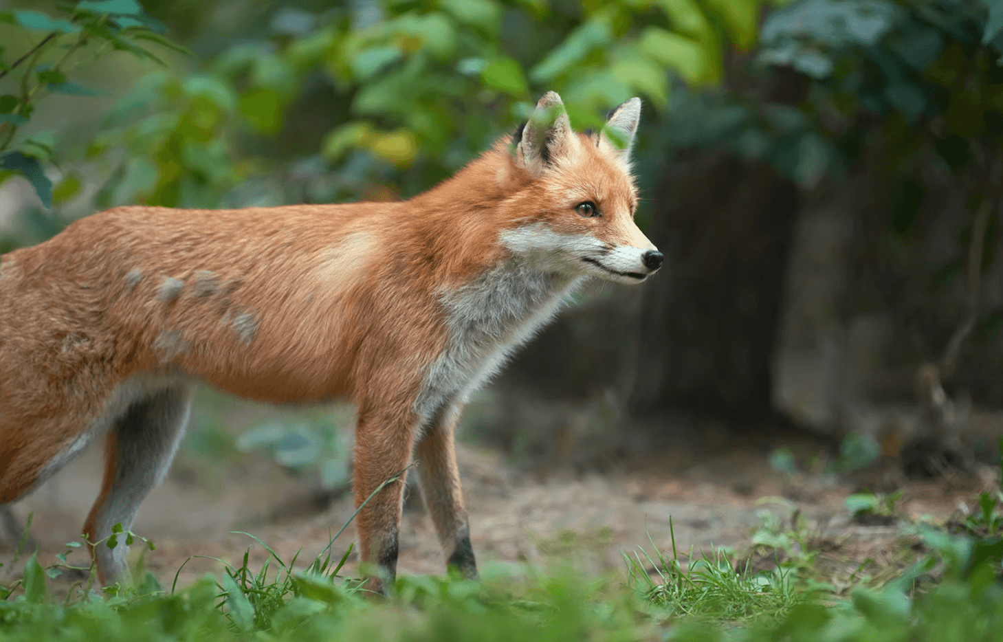Group of men standing with Sufboard