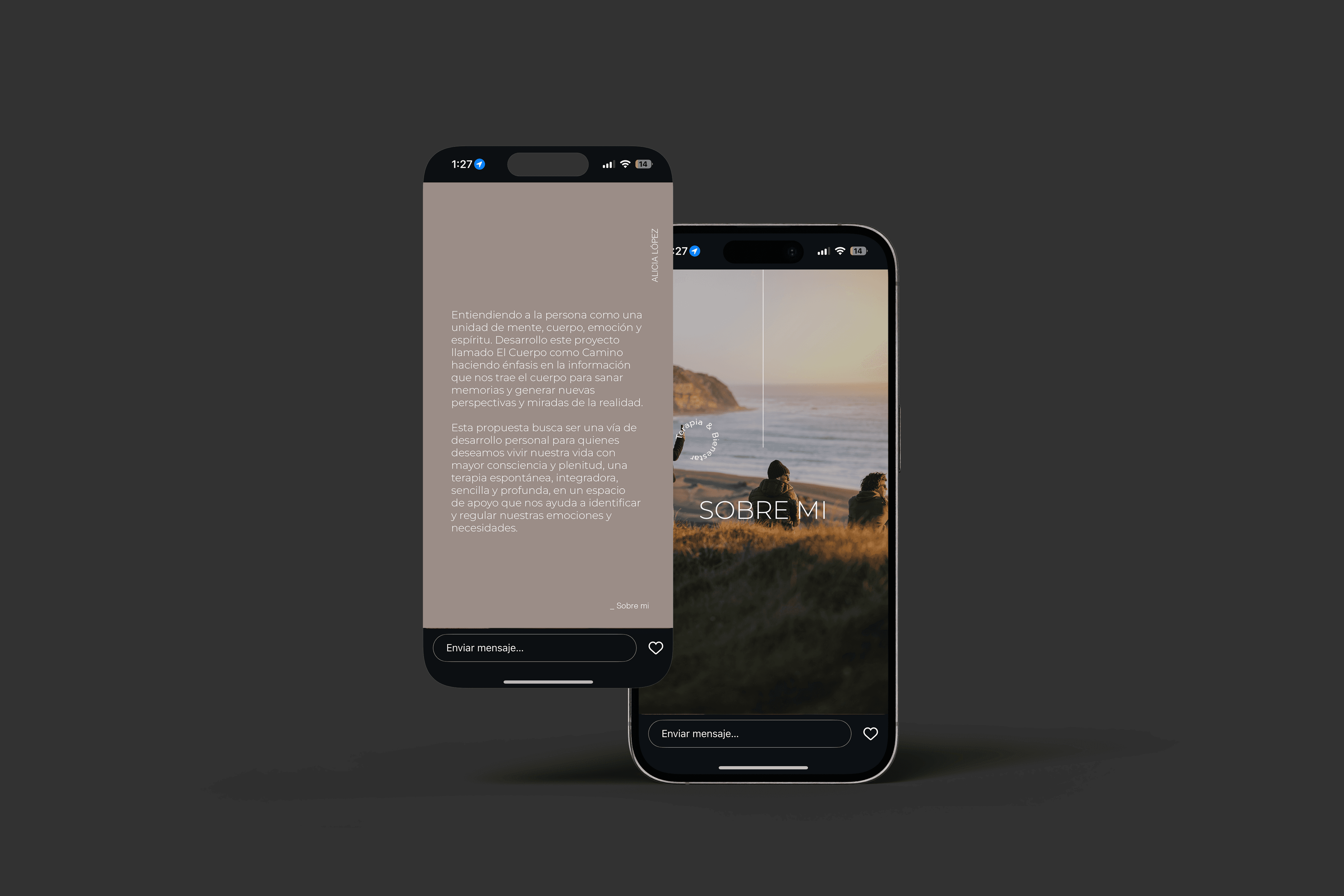 Plywood Artist Potrtfolio made in Framer