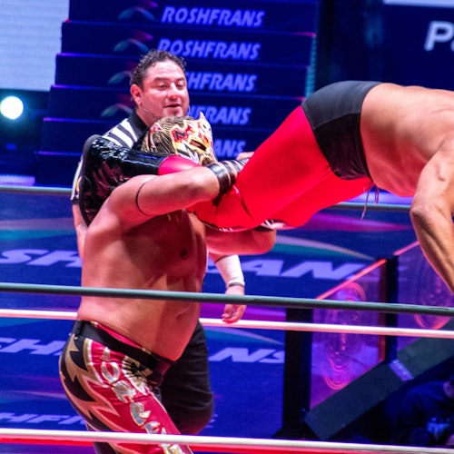 Palabas ng wrestling