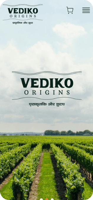 A screenshot from cashless home screen