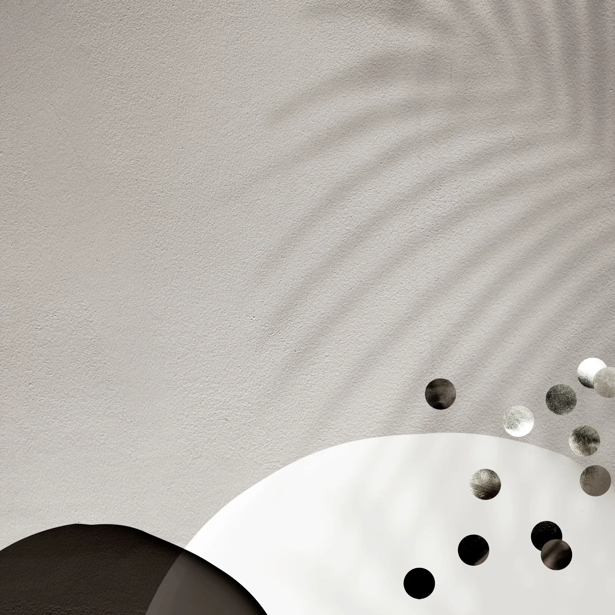 Shadow of leaves on an abstract wall