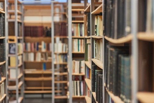 books on the shelves of a library