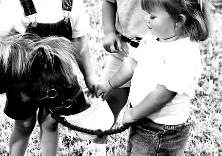 Ein Kind führt ein Pony an der Leine – Unterstützung der Kids & Pets Kitas für die pädagogische Arbeit mit Tieren.