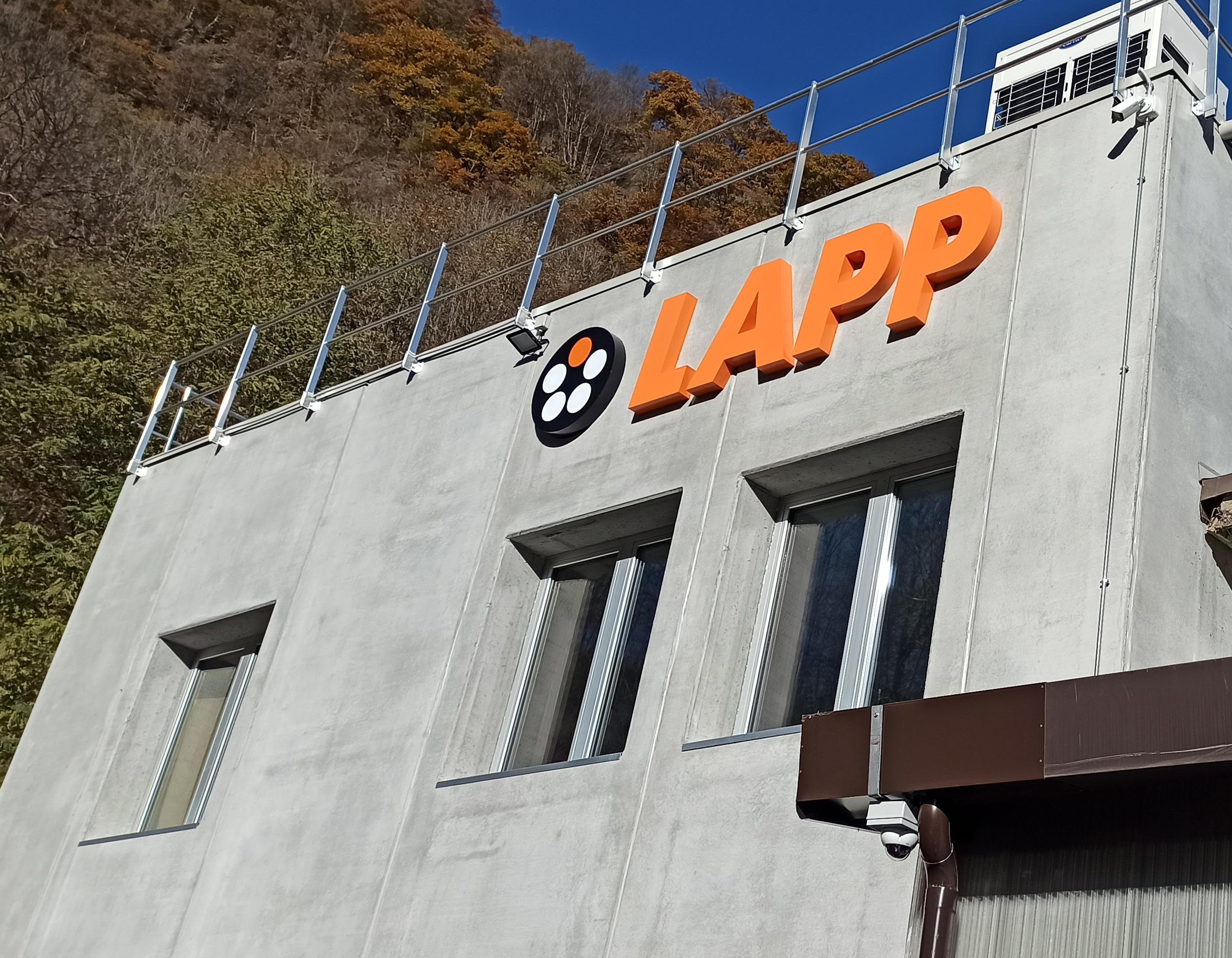 Close-up of a tree stump showing growth rings and a textured brown wood surface.